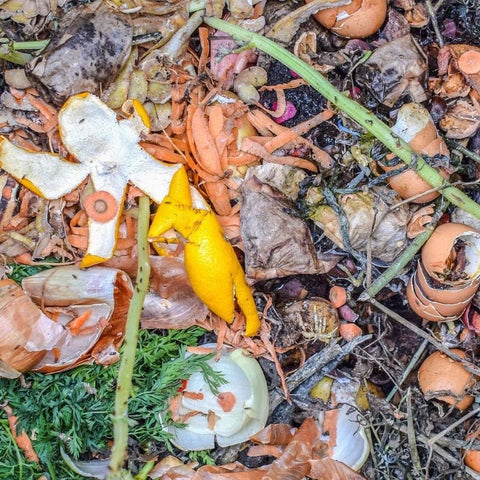 Composting at Home - Figure Ate Foods