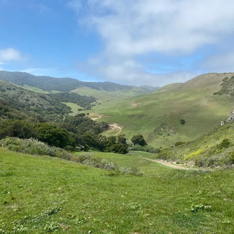Expanding our Footprint: Introducing Jalama Canyon Ranch - Figure Ate Foods