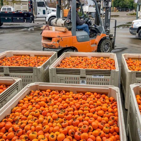 How Persimmons Became A Pantry Staple with Surprising Benefits - Figure Ate Foods