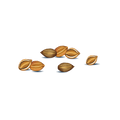 Coriander.png__PID:797002fd-41f0-4df2-9895-44b612b53b0b