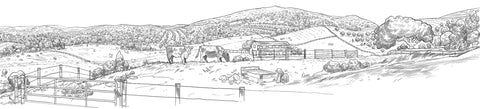 Figure-Ate-farm-scene-pano.jpg__PID:d5f373c7-9d8d-43a3-b3c4-33f3c7abfaee