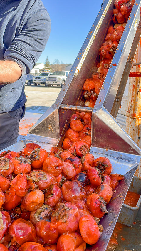 persimmon-harvest-2025-edited-9.jpg__PID:f26c70e3-397a-4aa6-b28f-5d3231cbaed6